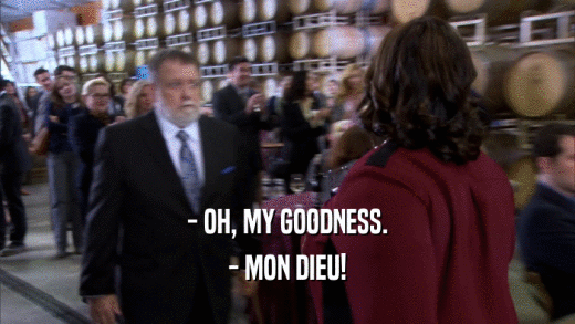 - OH, MY GOODNESS. - MON DIEU! 