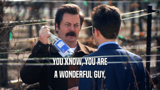 YOU KNOW, YOU ARE A WONDERFUL GUY, 