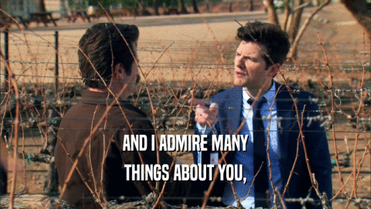 AND I ADMIRE MANY THINGS ABOUT YOU, 