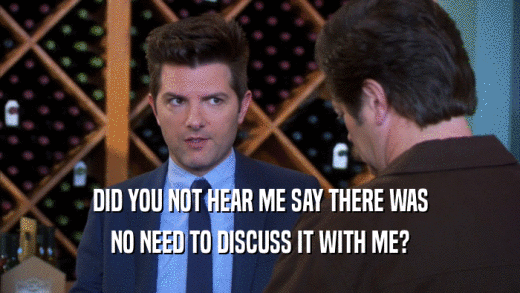 DID YOU NOT HEAR ME SAY THERE WAS NO NEED TO DISCUSS IT WITH ME? 