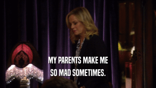 MY PARENTS MAKE ME SO MAD SOMETIMES. 