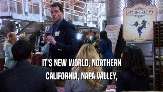 IT'S NEW WORLD, NORTHERN CALIFORNIA, NAPA VALLEY, 