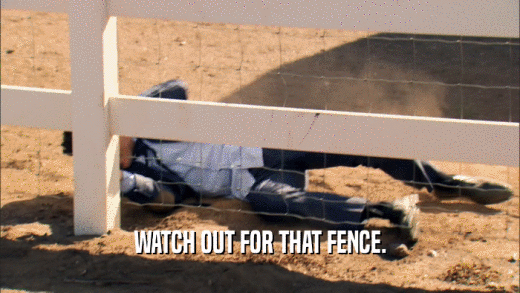 WATCH OUT FOR THAT FENCE.
  