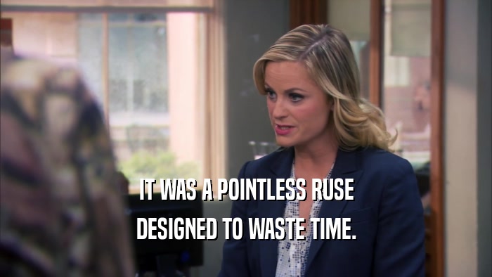 IT WAS A POINTLESS RUSE DESIGNED TO WASTE TIME. 