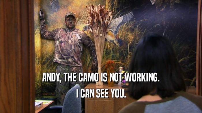 ANDY, THE CAMO IS NOT WORKING. I CAN SEE YOU. 