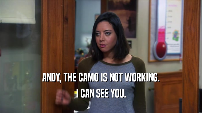 ANDY, THE CAMO IS NOT WORKING. I CAN SEE YOU. 