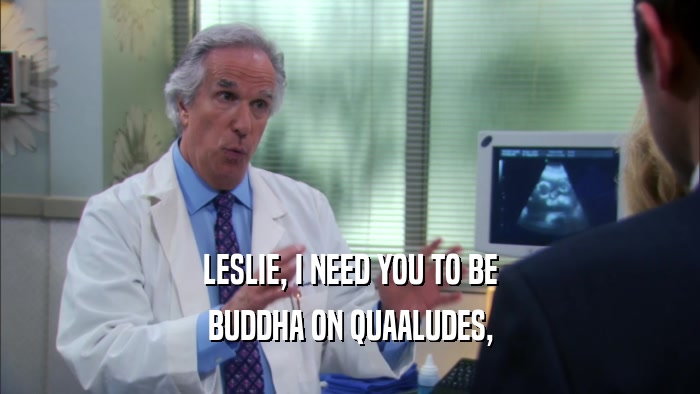 LESLIE, I NEED YOU TO BE BUDDHA ON QUAALUDES, 