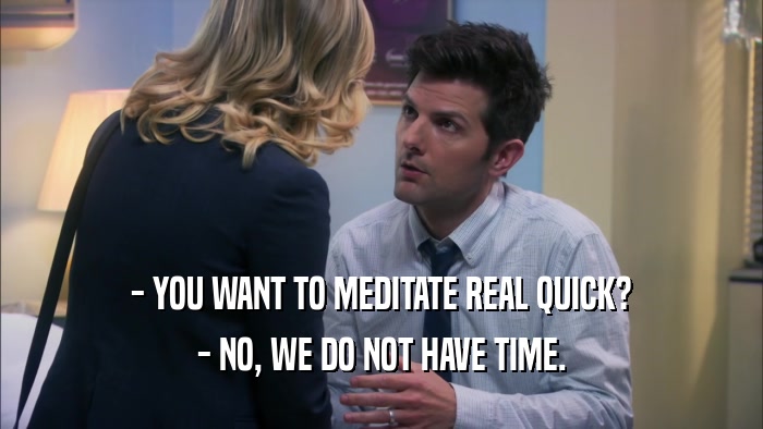 - YOU WANT TO MEDITATE REAL QUICK? - NO, WE DO NOT HAVE TIME. 