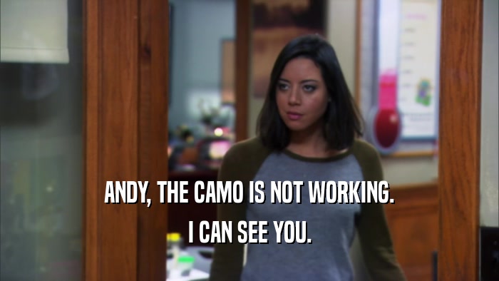 ANDY, THE CAMO IS NOT WORKING. I CAN SEE YOU. 