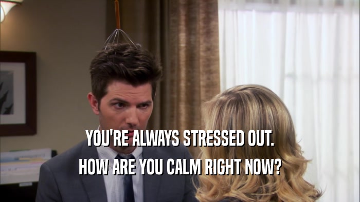 YOU'RE ALWAYS STRESSED OUT. HOW ARE YOU CALM RIGHT NOW? 