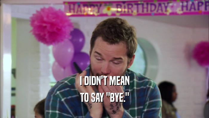I DIDN'T MEAN TO SAY 