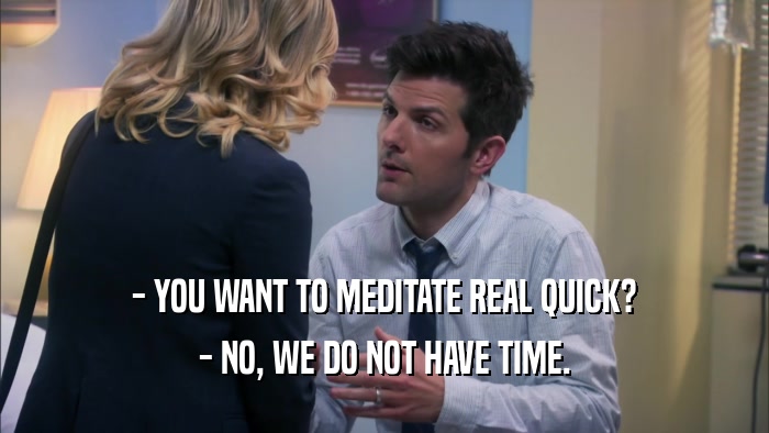 - YOU WANT TO MEDITATE REAL QUICK? - NO, WE DO NOT HAVE TIME. 