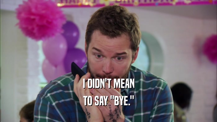 I DIDN'T MEAN TO SAY 