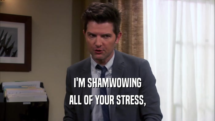 I'M SHAMWOWING ALL OF YOUR STRESS, 