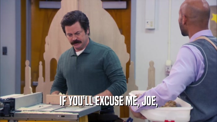 IF YOU'LL EXCUSE ME, JOE,  