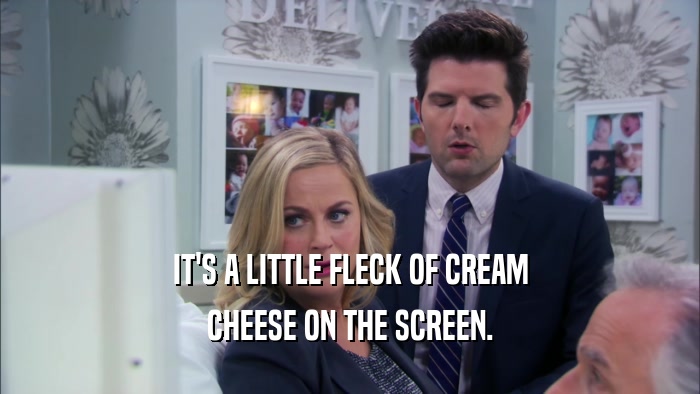 IT'S A LITTLE FLECK OF CREAM CHEESE ON THE SCREEN. 