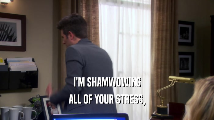 I'M SHAMWOWING ALL OF YOUR STRESS, 