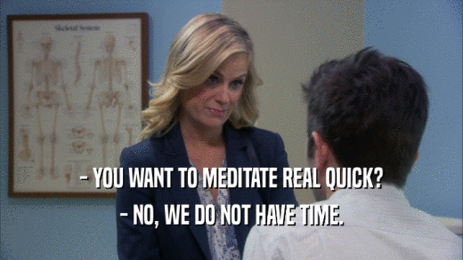 - YOU WANT TO MEDITATE REAL QUICK? - NO, WE DO NOT HAVE TIME. 