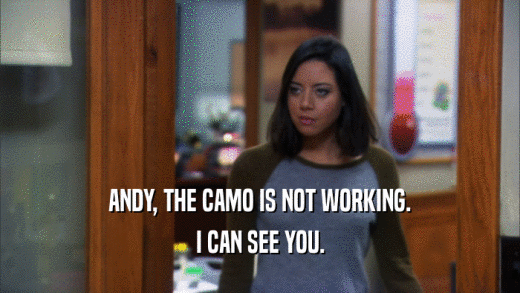 ANDY, THE CAMO IS NOT WORKING. I CAN SEE YOU. 