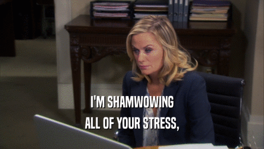 I'M SHAMWOWING ALL OF YOUR STRESS, 