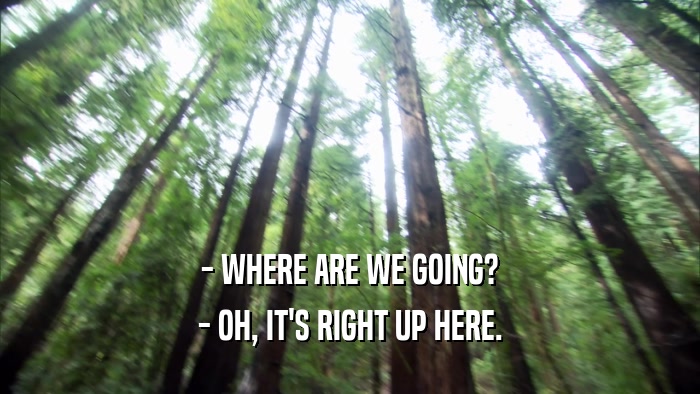 - WHERE ARE WE GOING? - OH, IT'S RIGHT UP HERE. 