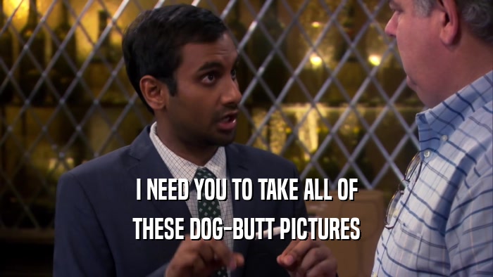 I NEED YOU TO TAKE ALL OF THESE DOG-BUTT PICTURES 
