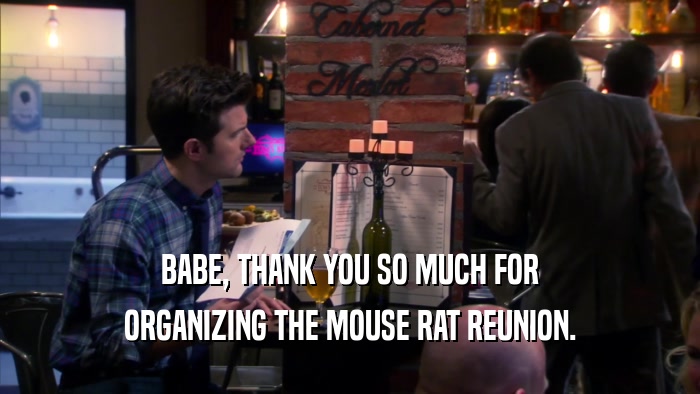 BABE, THANK YOU SO MUCH FOR ORGANIZING THE MOUSE RAT REUNION. 