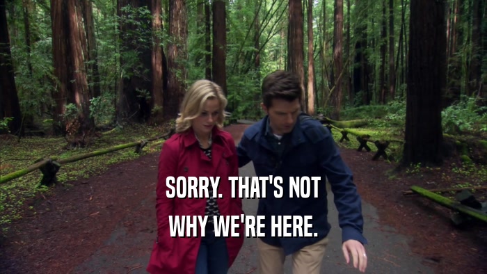 SORRY. THAT'S NOT WHY WE'RE HERE. 