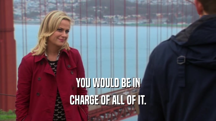 YOU WOULD BE IN CHARGE OF ALL OF IT. 