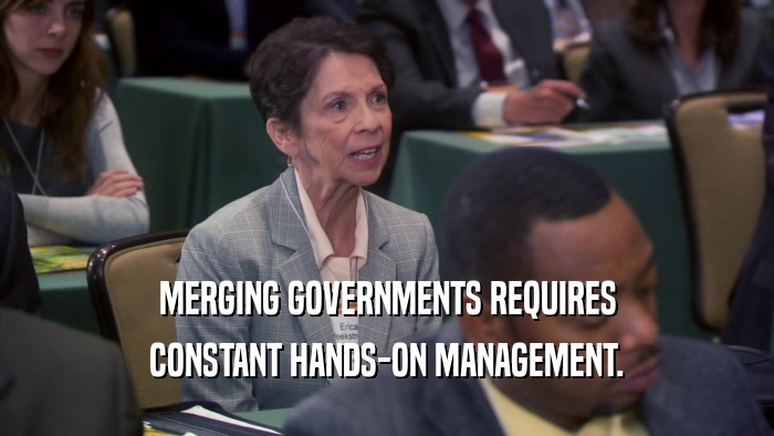 MERGING GOVERNMENTS REQUIRES CONSTANT HANDS-ON MANAGEMENT. 