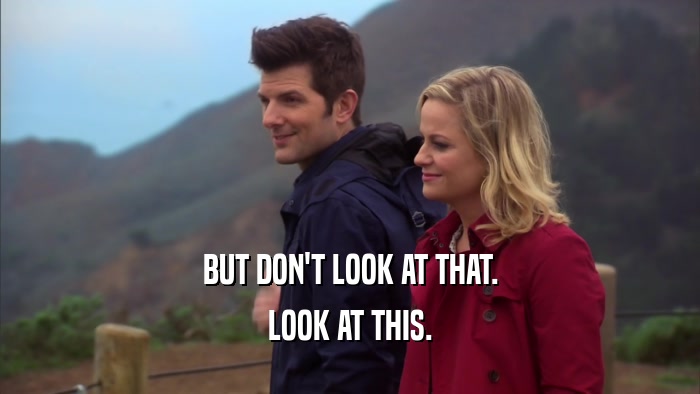 BUT DON'T LOOK AT THAT. LOOK AT THIS. 