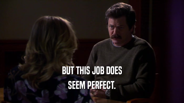 BUT THIS JOB DOES SEEM PERFECT. 