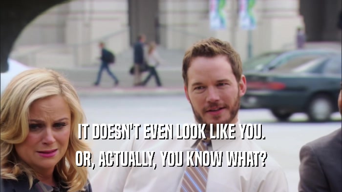 IT DOESN'T EVEN LOOK LIKE YOU. OR, ACTUALLY, YOU KNOW WHAT? 