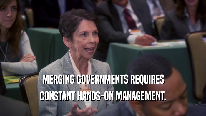 MERGING GOVERNMENTS REQUIRES CONSTANT HANDS-ON MANAGEMENT. 