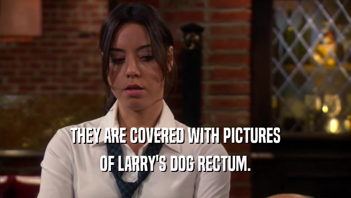 THEY ARE COVERED WITH PICTURES OF LARRY'S DOG RECTUM. 