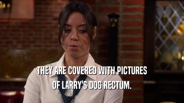 THEY ARE COVERED WITH PICTURES OF LARRY'S DOG RECTUM. 