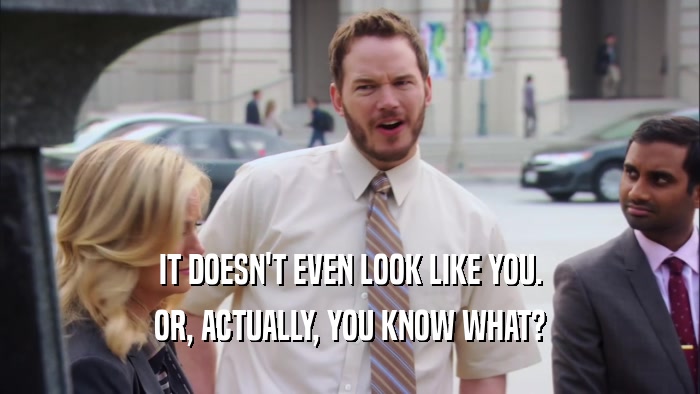 IT DOESN'T EVEN LOOK LIKE YOU. OR, ACTUALLY, YOU KNOW WHAT? 