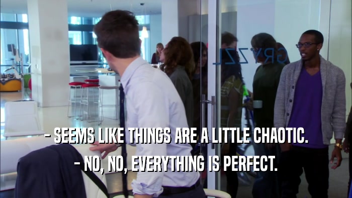 - SEEMS LIKE THINGS ARE A LITTLE CHAOTIC. - NO, NO, EVERYTHING IS PERFECT. 