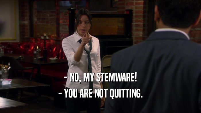 - NO, MY STEMWARE! - YOU ARE NOT QUITTING. 