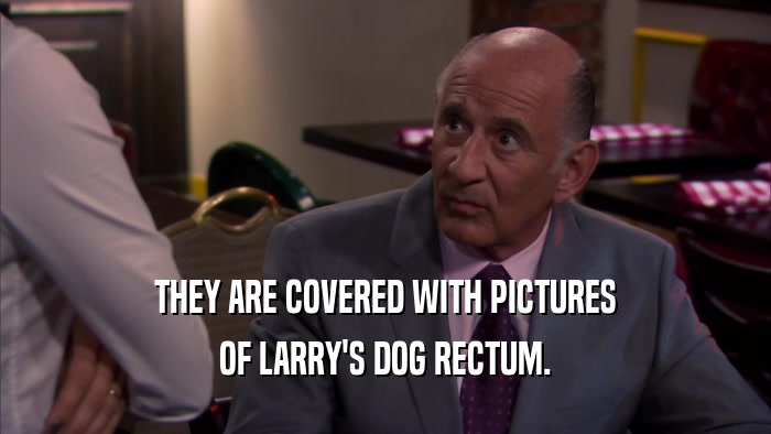 THEY ARE COVERED WITH PICTURES OF LARRY'S DOG RECTUM. 