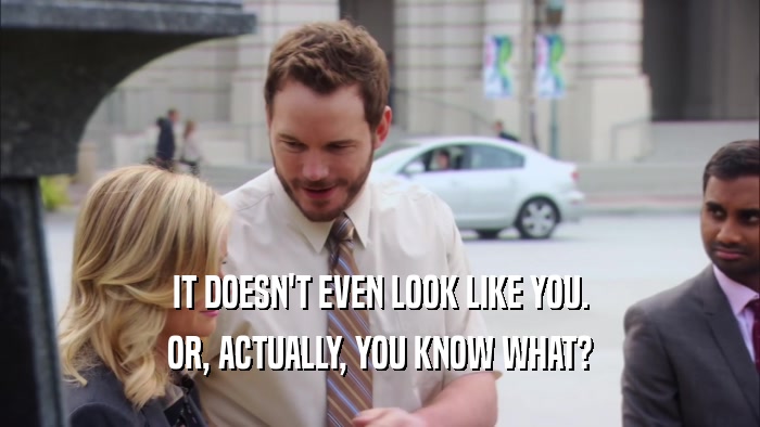 IT DOESN'T EVEN LOOK LIKE YOU. OR, ACTUALLY, YOU KNOW WHAT? 