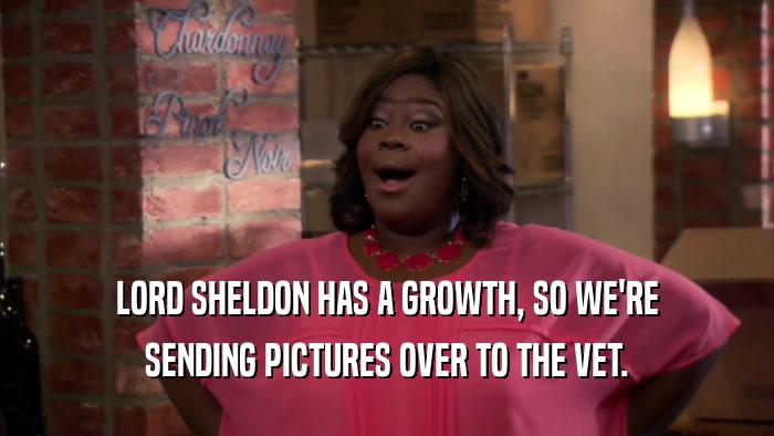 LORD SHELDON HAS A GROWTH, SO WE'RE SENDING PICTURES OVER TO THE VET. 