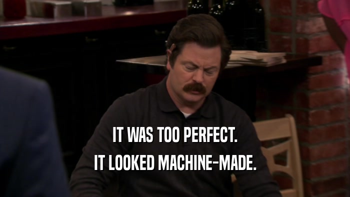 IT WAS TOO PERFECT. IT LOOKED MACHINE-MADE. 