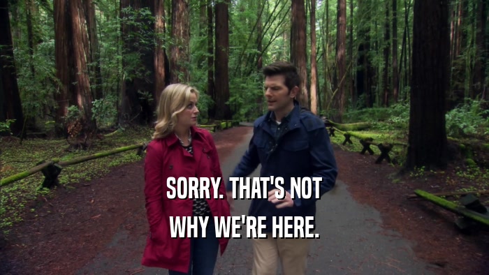 SORRY. THAT'S NOT WHY WE'RE HERE. 