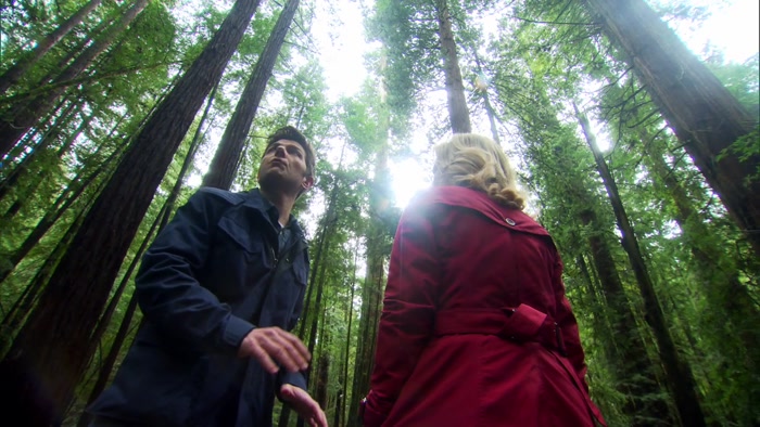 THESE ARE THE REDWOODS GEORGE LUCAS USED TO CREATE THE FOREST MOON OF ENDOR. 