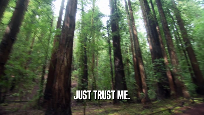 JUST TRUST ME.  