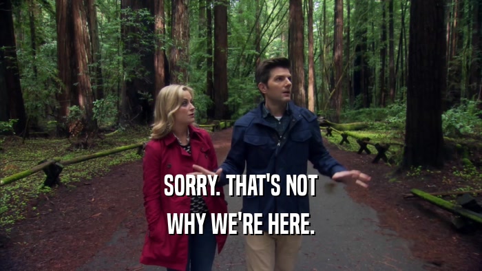 SORRY. THAT'S NOT WHY WE'RE HERE. 