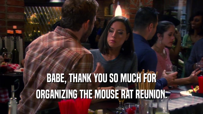 BABE, THANK YOU SO MUCH FOR ORGANIZING THE MOUSE RAT REUNION. 