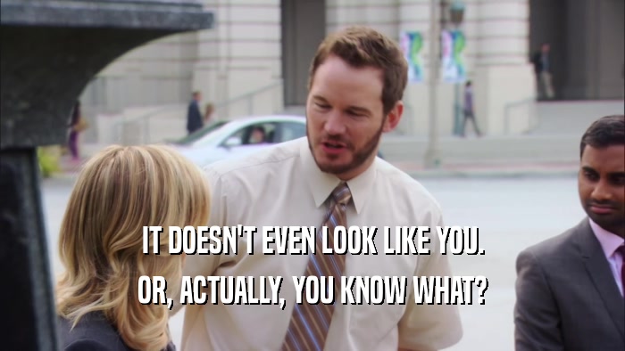 IT DOESN'T EVEN LOOK LIKE YOU. OR, ACTUALLY, YOU KNOW WHAT? 