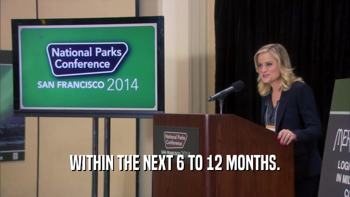 WITHIN THE NEXT 6 TO 12 MONTHS.  